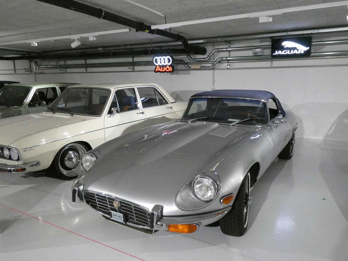 (272'982) - Jaguar am 15. Mrz 2025 in Derendingen, Enter