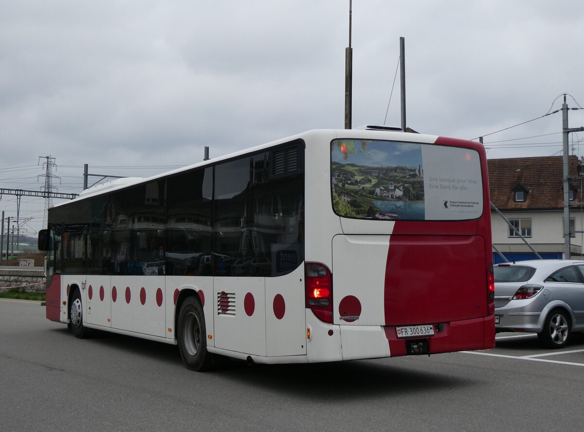 (273'031) - Wieland, Murten - Nr. 58/FR 300'636 - Setra am 15. Mrz 2025 beim Bahnhof Kerzers
