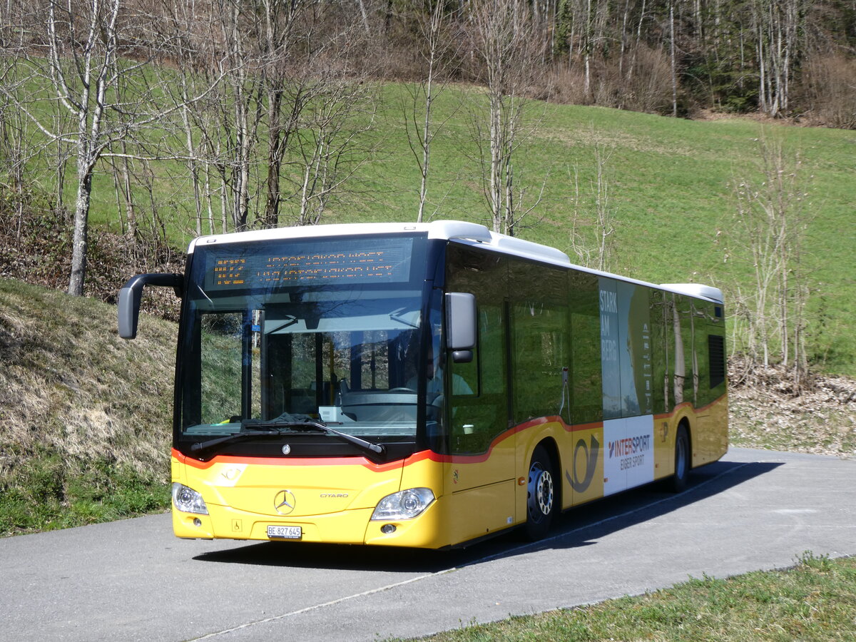 (273'103) - PostAuto Bern - BE 827'645/PID 11'426 - Mercedes am 20. Mrz 2025 in Niederried, Wendeplatz