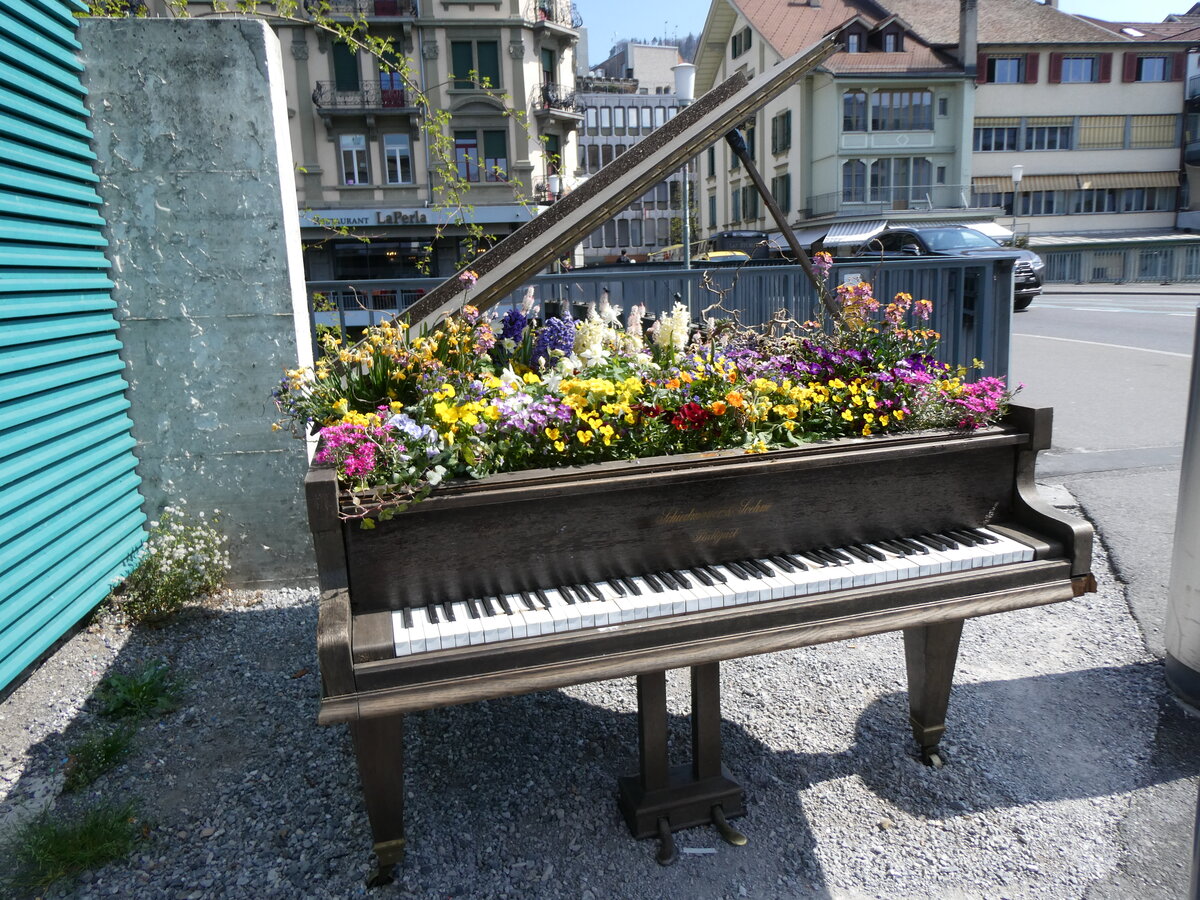 (273'774) - Flgel mit Blumen am 9. April 2025 beim Guisanplatz in Thun