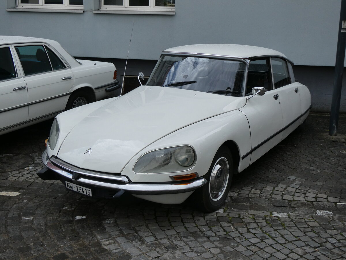 (276'402) - Citron - NW 15'415 - am 7. Juni 2025 in Sarnen, OiO