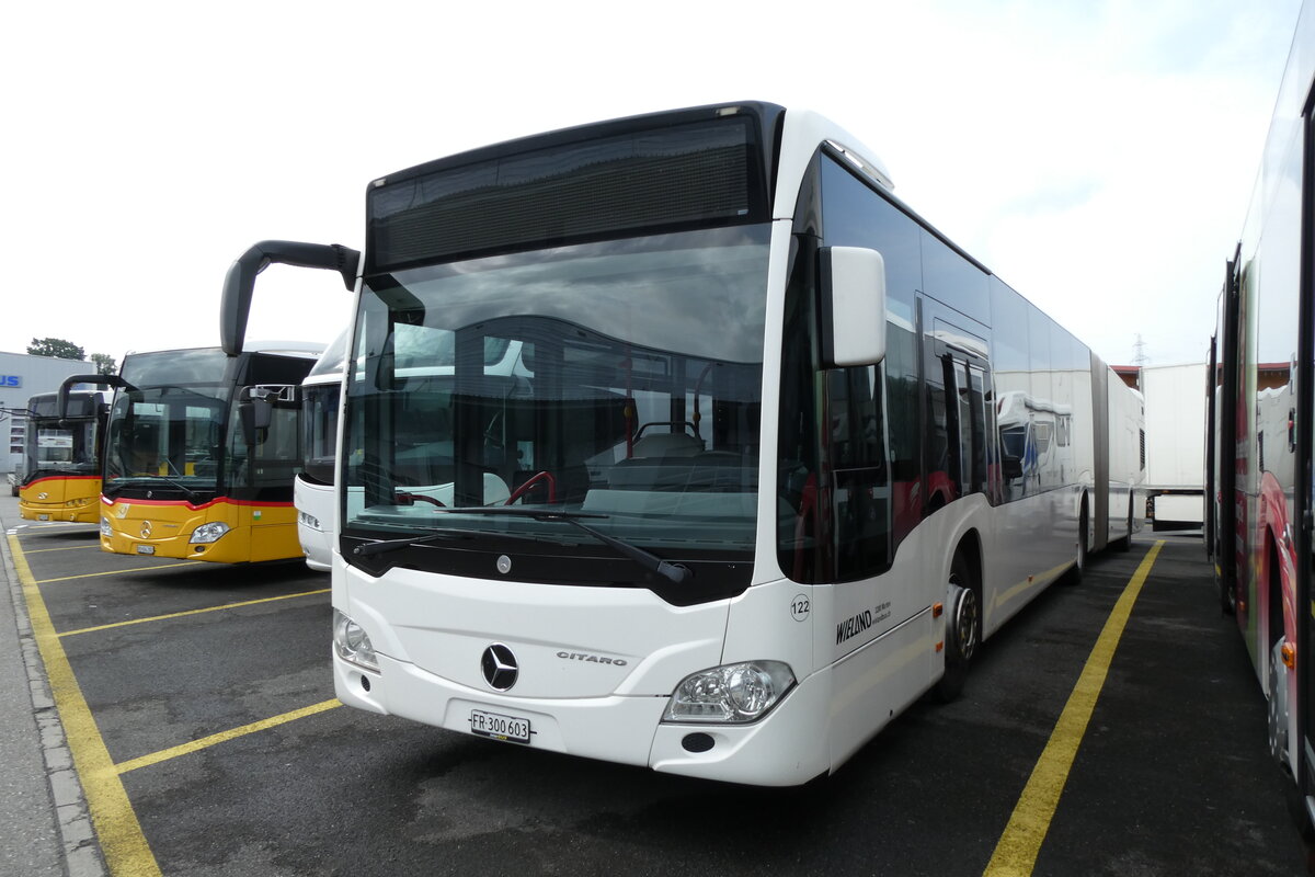 (278'099) - Wieland, Murten - Nr. 122/FR 300'603 - Mercedes (ex Interbus, Yverdon Nr. 209; ex Gschwindl, A-Wien Nr. 8401) am 27. Juli 2025 in Kerzers, Interbus