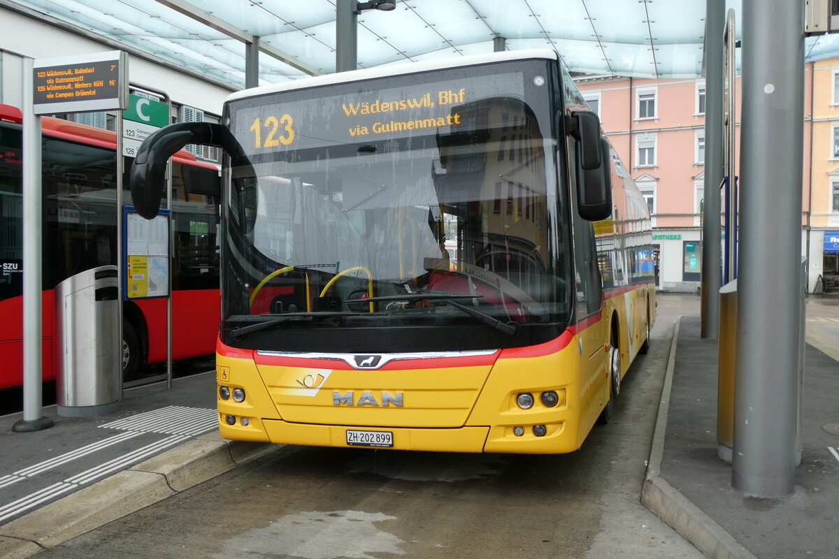 (280'719) - PostAuto Zürich - Nr. 382/ZH 202'899/PID 11'269 - MAN am 27. September 2025 beim Bahnhof Wädenswil (280'719) - PostAuto Zürich - Nr. 382/ZH 202'899/PID 11'269 - MAN am 27. September 2025 beim Bahnhof Wädenswil