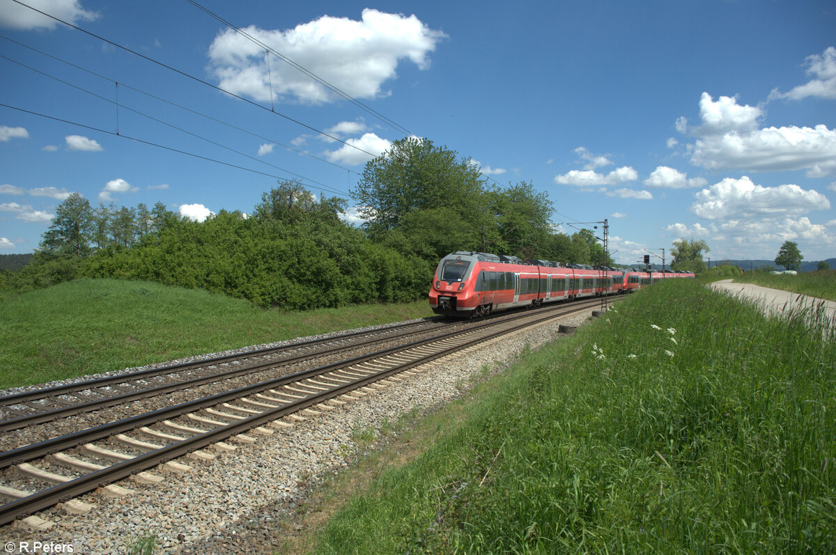 442 223 als S1 39160 Neumarkt/Oberpfalz - Erlangen. 14.05.24