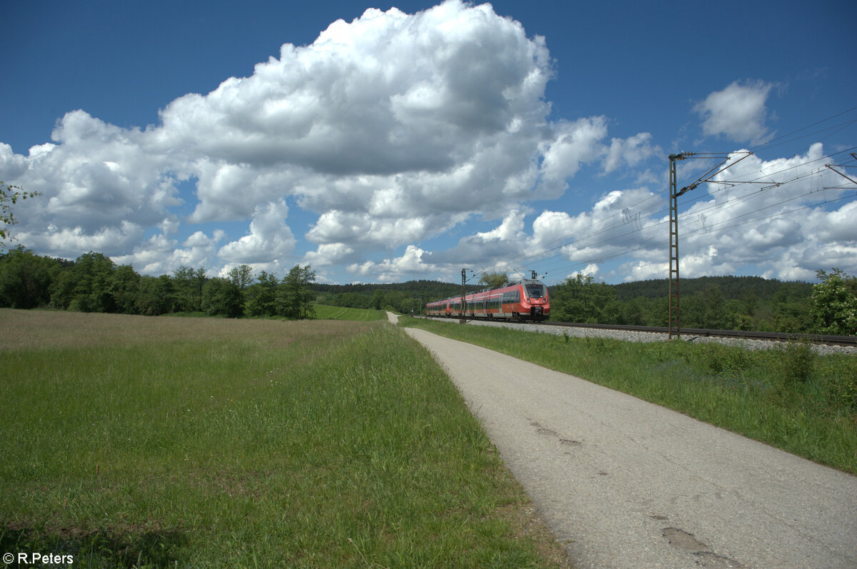 442 265 als S1 Neumarkt/Oberpfalz bei Plling. 20.05.24