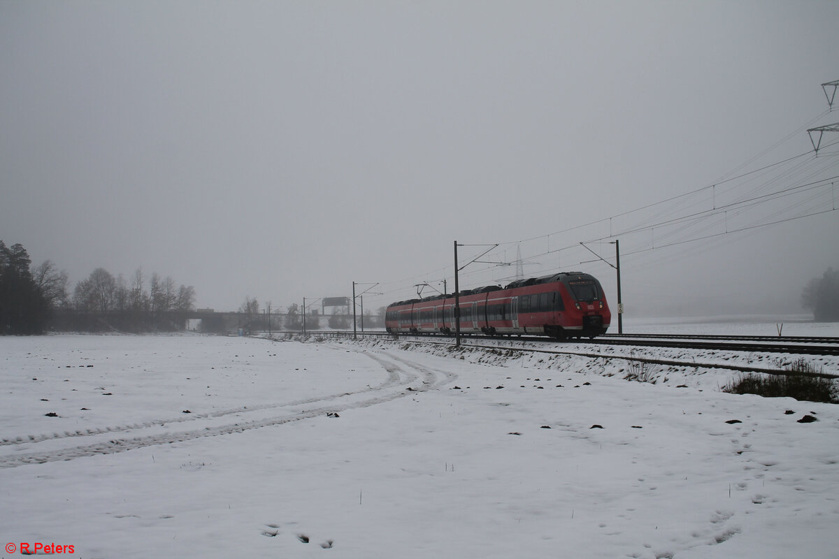 442 268 als S2 nach Altdorf bei Winkelhaid. 09.12.23