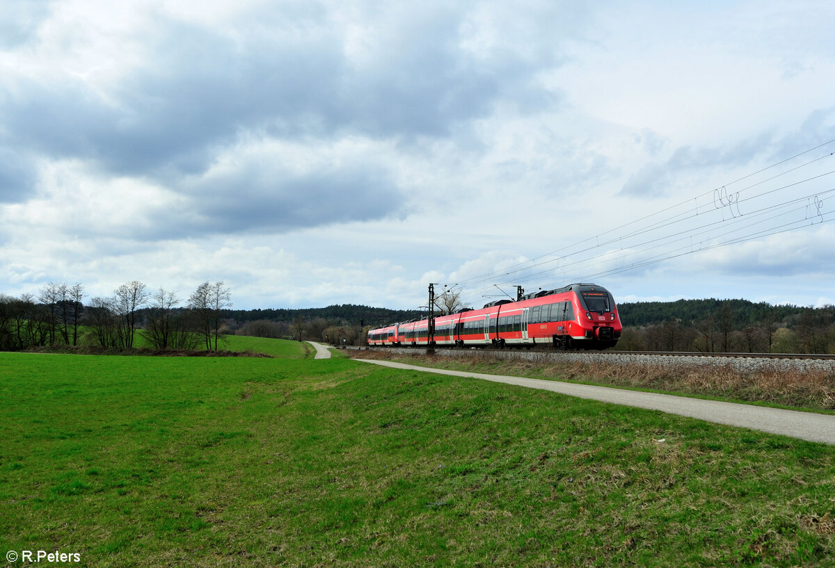 442 310 als S1 39167 Forchheim Bamberg - Neumarkt/Oberpfalz bei Plling. 17.03.24