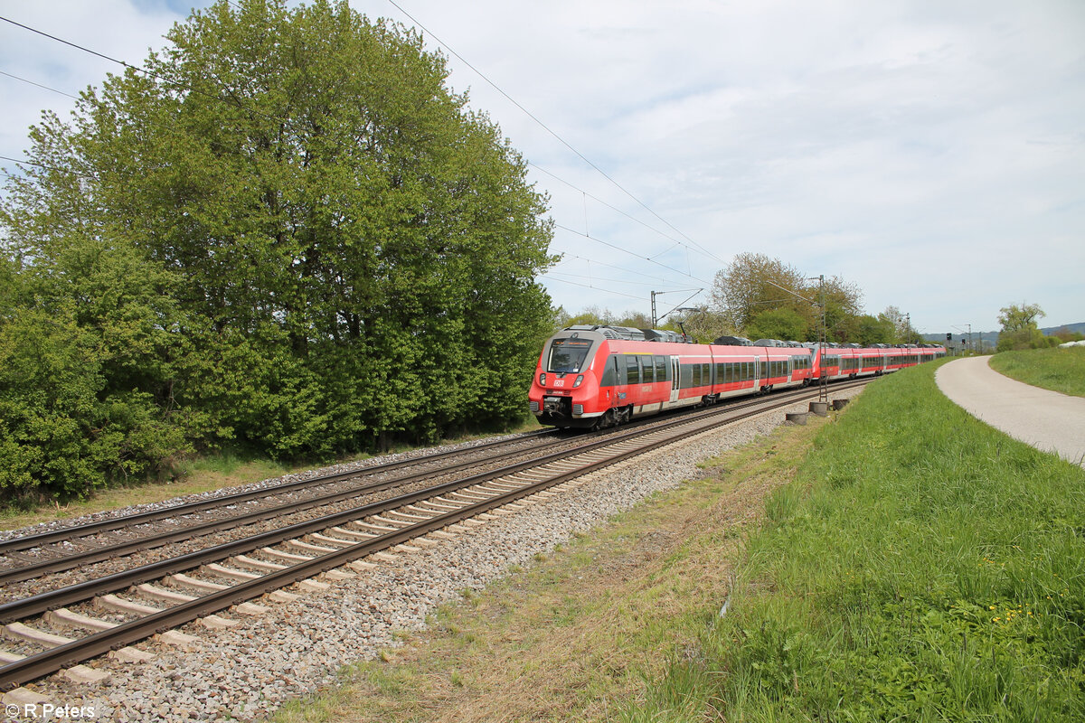 442 606-0 als S1 S39164 Neumarkt/Oberpfalz - Bamberg bei Pölling. 28.04.24