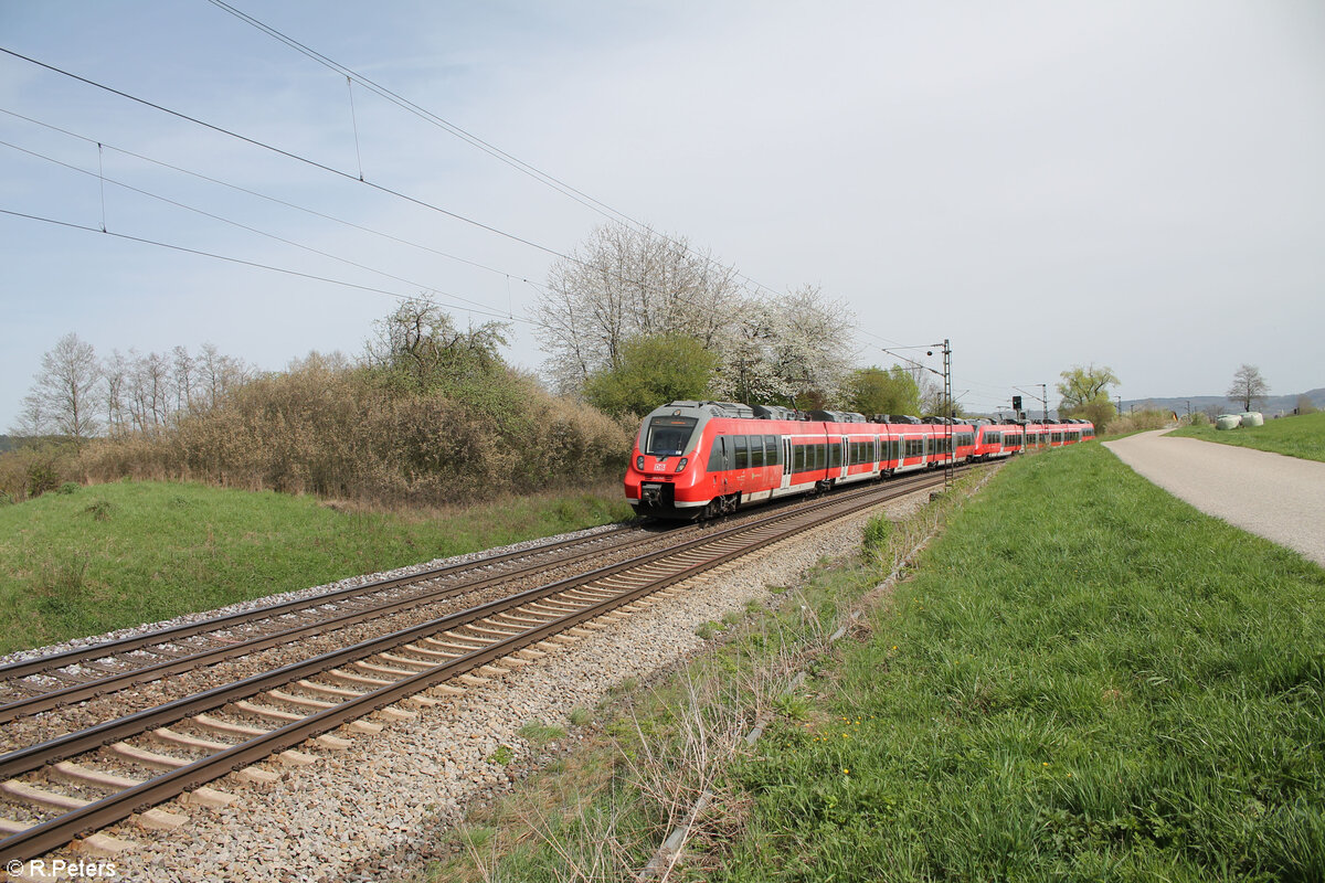 442 767 als S1 39162 Neumarkt/Oberpfalz - Bamberg bei Pölling in der Kurve 07.04.24