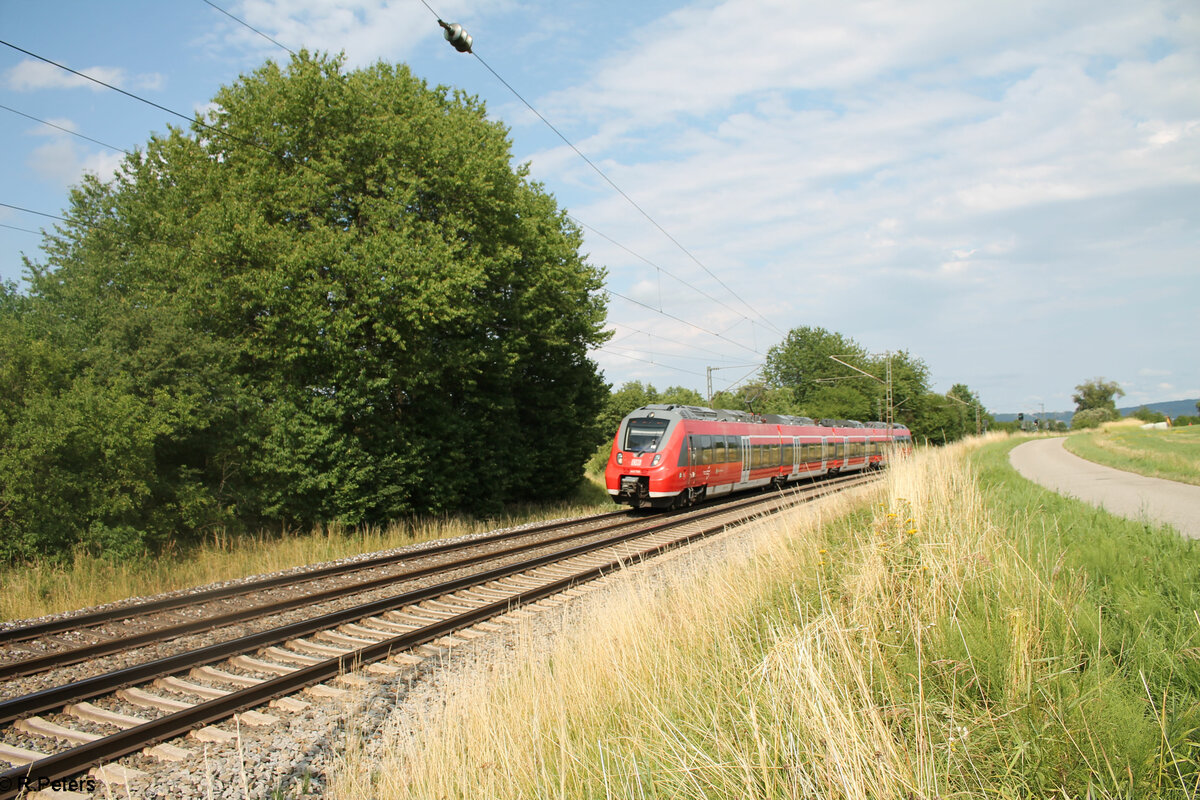 442 768 als S3 39358 Neumarkt/Oberpfalz - Nürnberg HBF bei Pölling. 16.07.23