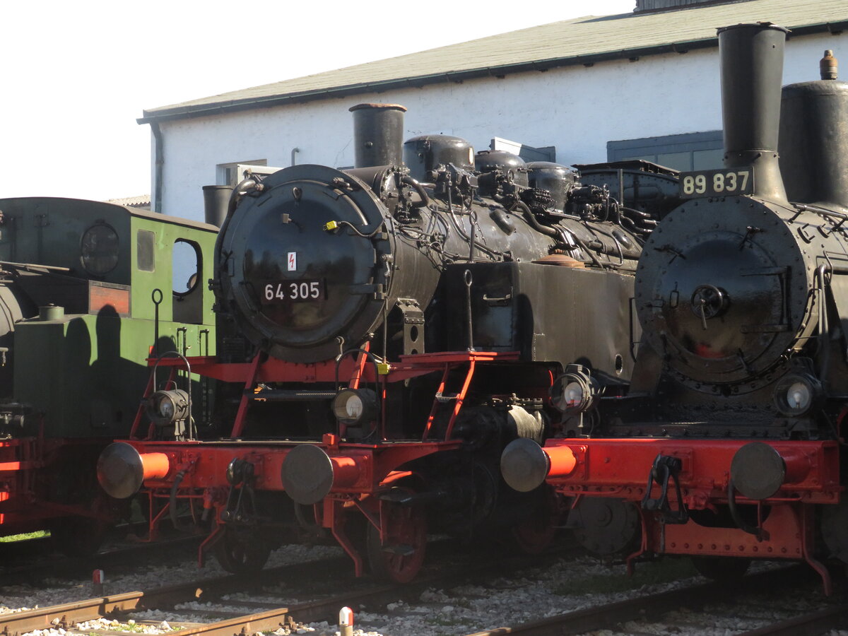 BR 64 305 steht an der Drehscheibe im Eisenbahnmuseum N�rdlingen. 30.Mai 2025