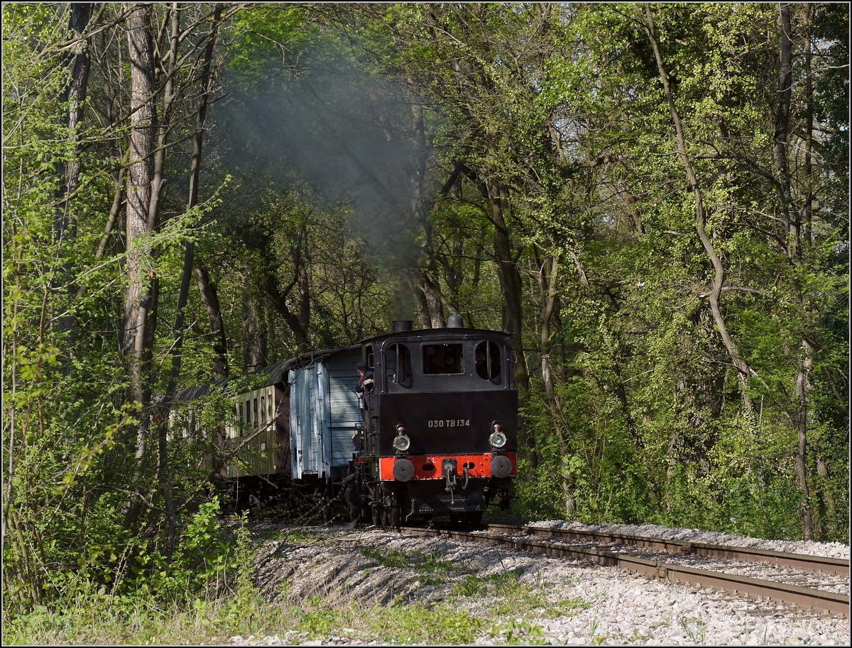 Chemin de Fer Touristique du Rhin, das Kleinod im Auwald bei Neu-Breisach.

Fahrt mit der Reisegruppe aus Deutschland von Sans Souci nach Volgelsheim, Zugmaschine ist die Elsässerin 030 TB 134. April 2019.
