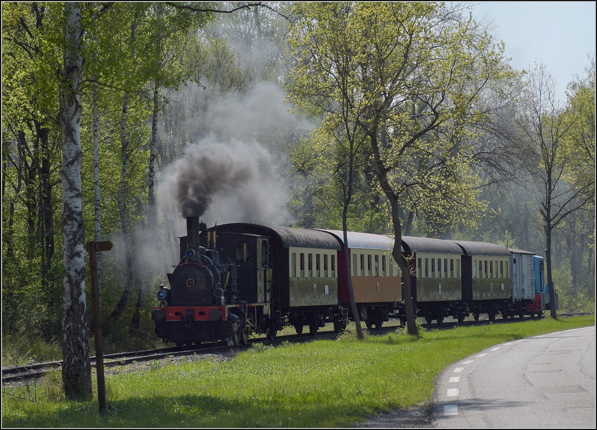 Chemin de Fer Touristique du Rhin, das Kleinod im Auwald bei Neu-Breisach.

Fahrt zur Bereitstellung in Sans Souci. Zugmaschine ist die Elsässerin 030 TB 134. Kunheim, April 2019.