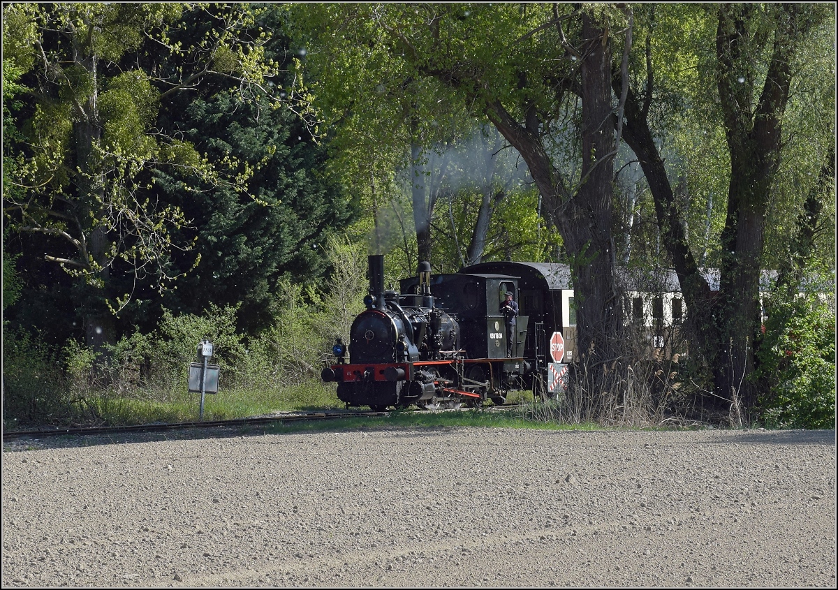 Chemin de Fer Touristique du Rhin, das Kleinod im Auwald bei Neu-Breisach.

Fahrt zur Bereitstellung in Sans Souci. Zugmaschine ist die Elsässerin 030 TB 134. Kunheim, April 2019.
