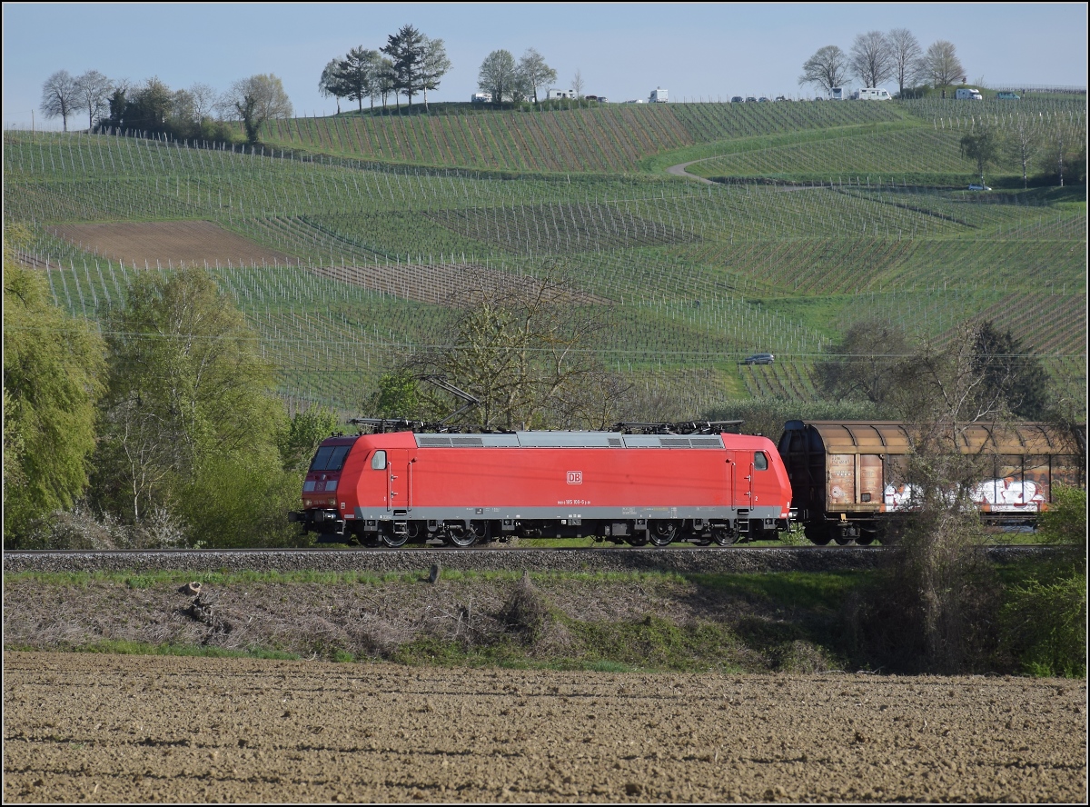 DB Cargo 185 106 und kalt 185 111 bei Scherzingen. April 2021.
