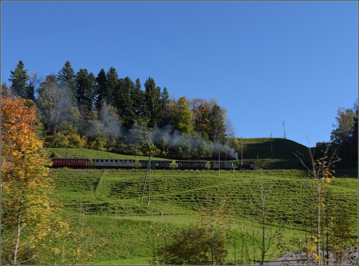 DVZO Dampffest 2017.

Ed 3/3 401 fhrt mit ihrem Museumszug Richtung Hinwil die Rampe nach Neuthal hoch. Weidli bei Bauma, Oktober 2017.