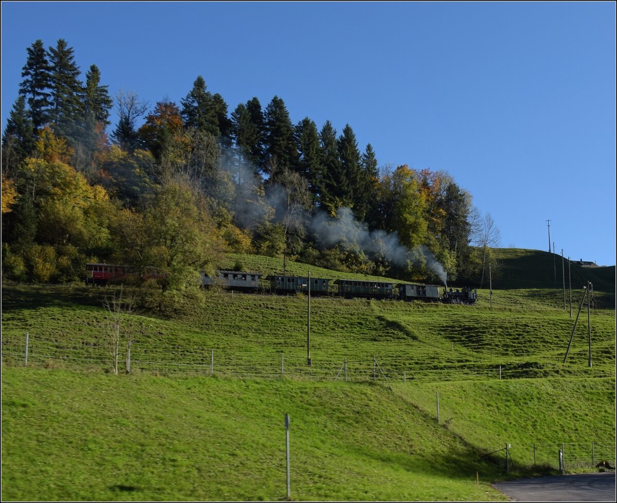 DVZO Dampffest 2017.

Ed 3/3 401 fhrt mit ihrem Museumszug Richtung Hinwil die Rampe nach Neuthal hoch. Weidli bei Bauma, Oktober 2017.