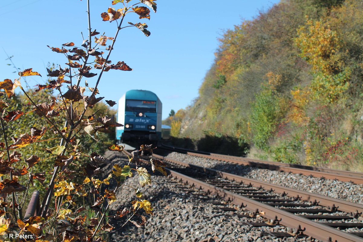 Ein Alex nach München südlich von Reuth bei Erbendorf. 13.10.17