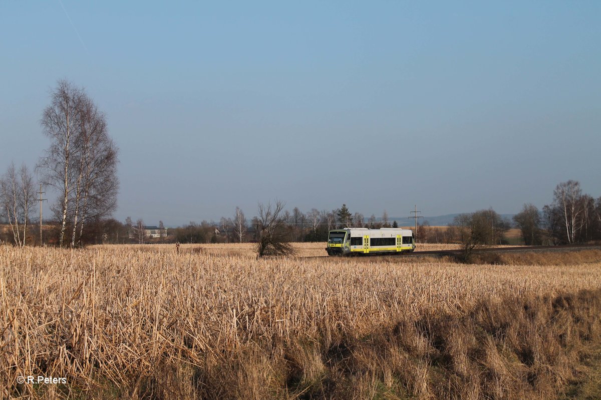 Ein Unbekannter Agilis auf dem Weg nach Hof bei Unterthlau. 18.03.16