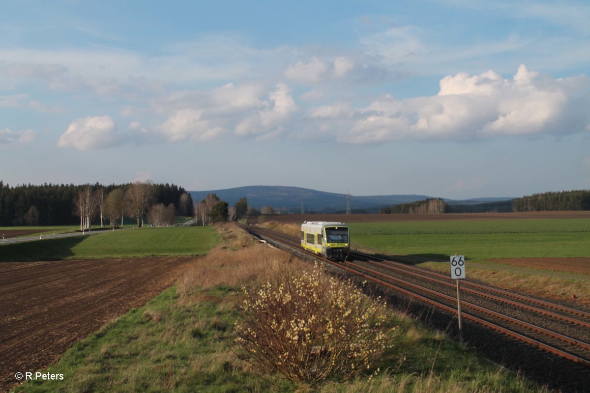 Ein Versuchsbild mit einer Agilis bei Neudes