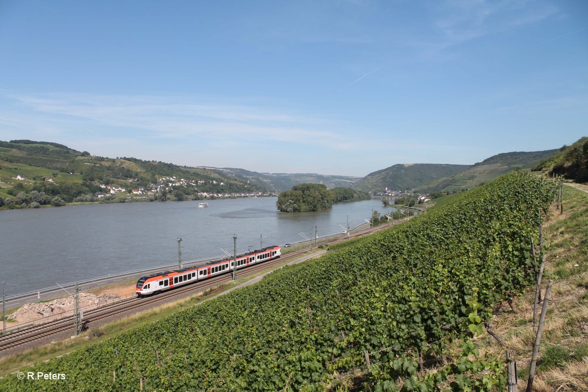 Eine Vias kurz hinter Lorch am Rhein auf dem Weg nach Frankfuret/Main. 18.07.14