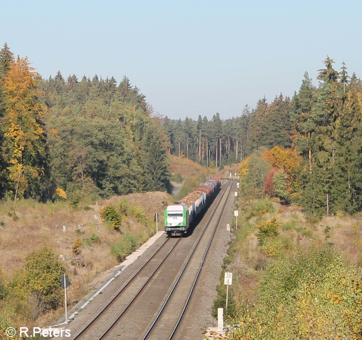 ER20 alias 223 101 zieht kurz vor Oberteich ein Holzzug von Cheb nach Wiesau. 12.10.18