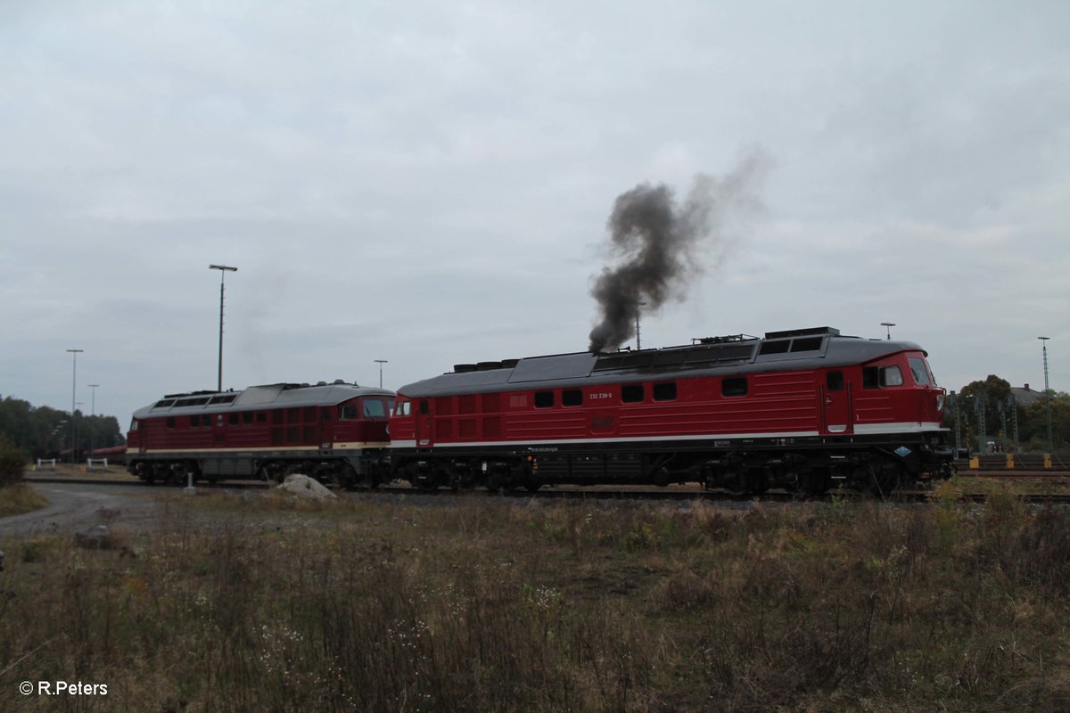 Es ist nach 18 Uhr und das LEG Lokpersonal macht sich wieder ran an die Schicht. 232 238 beim Motorstart.