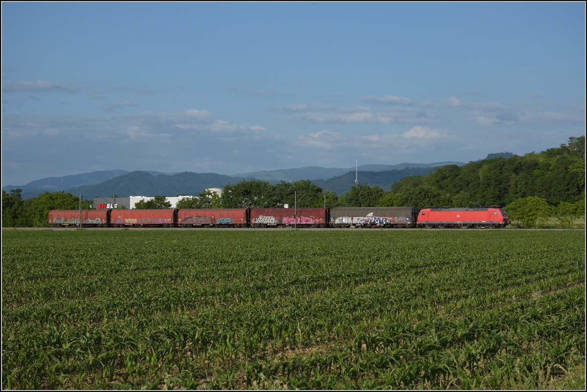 Frankreichtaugliche 185 032 mit kurzem Güterzug bei Buggingen. Juni 2022.