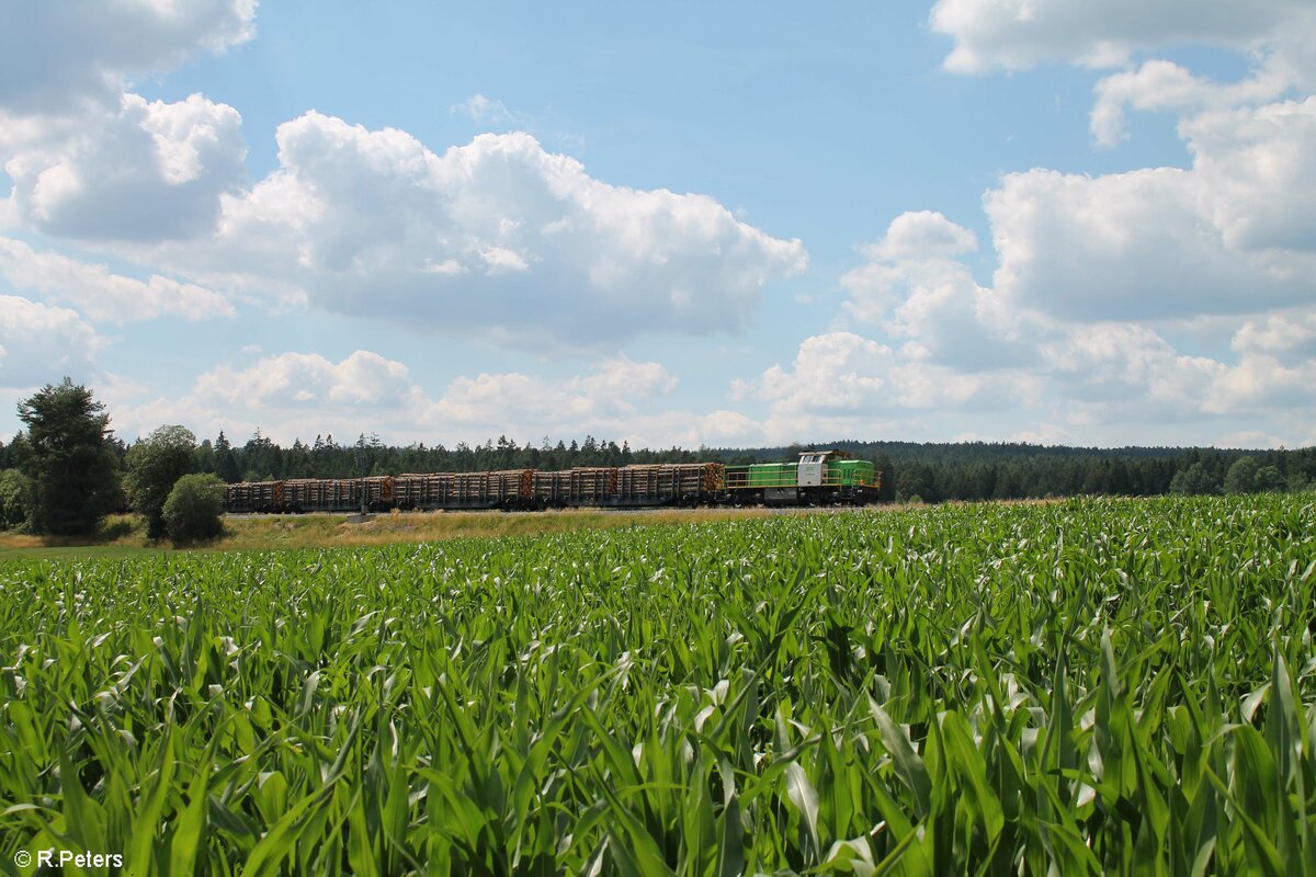 G1700.03 mit einem Rundholzzug aus Nürnberg langwasser nach Cheb kurz vor Waldershof. 06.07.22