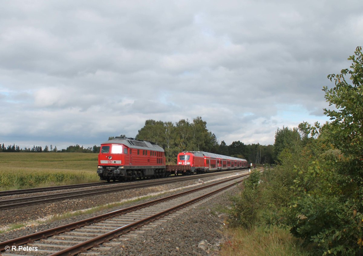  Heute hatte 233 698-0 die Ehre den seit Tagen in Marktredwitz verweilenden München-Nürnberg Express zu Überführen. Als 98984 von NMR - NSCH - NNR weiter nach NWH (Würzburg) wurde die Skodalok 102 002 mit 5 Wagen + Steuerwagen des neuen München Nürnberg Express (NIM) überführt und kurz vor Wiesau abgelichtet. 24.09.17