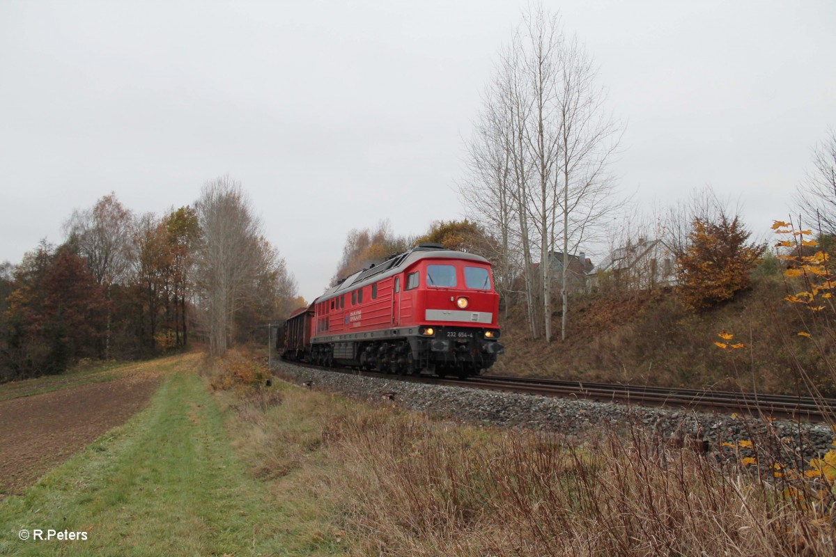 In der südlichen Einfahrt von Reuth bei Erbendorf zog 232 654-4 den 56743 nach Marktredwitz. 09.11.14