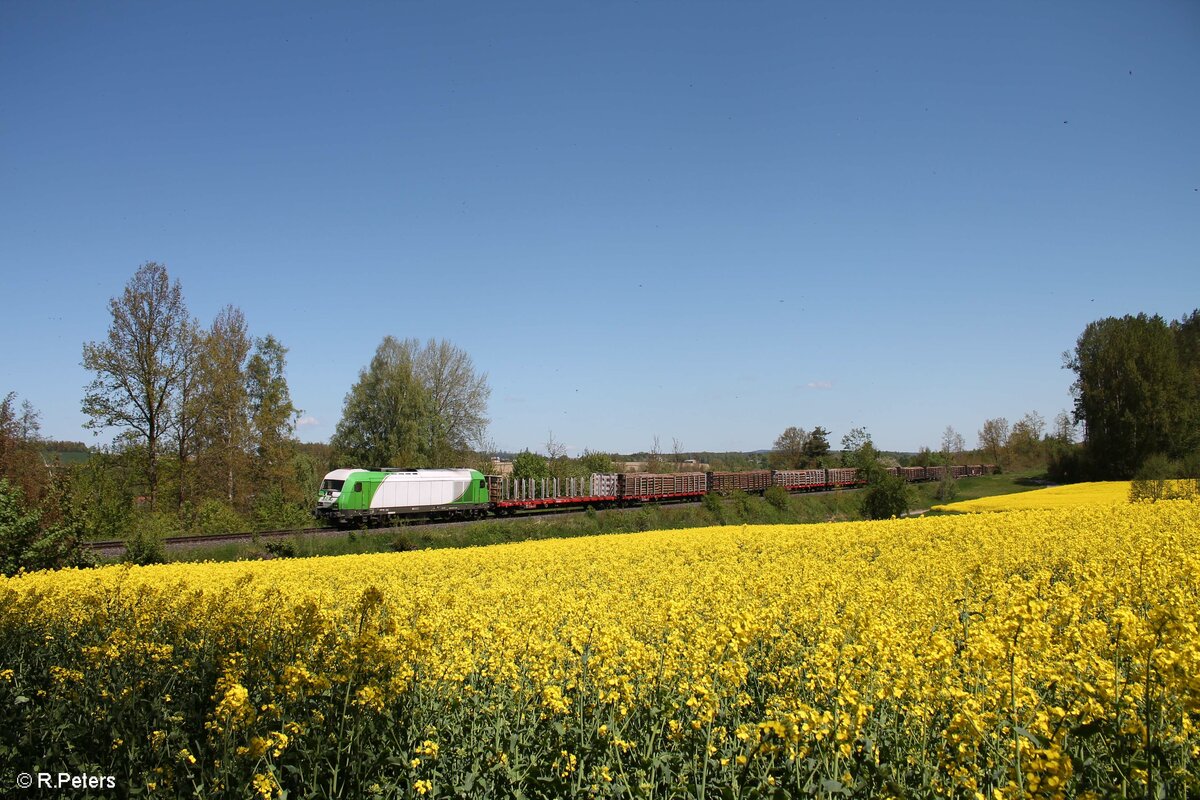 Mit dem Sonntags verkehrenden Rundholzzug Cheb – Regensburg zieht ER20-03 zwischen Schirnding und Arzber am schönen Rapsfeld vorbei. 30.05.2021