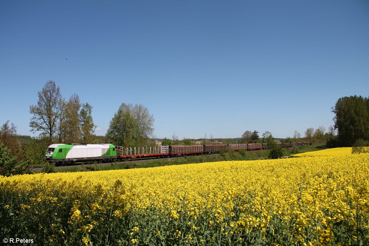 Mit dem Sonntags verkehrenden Rundholzzug Cheb – Regensburg zieht ER20-03 zwischen Schirnding und Arzber am schönen Rapsfeld vorbei. 30.05.2021