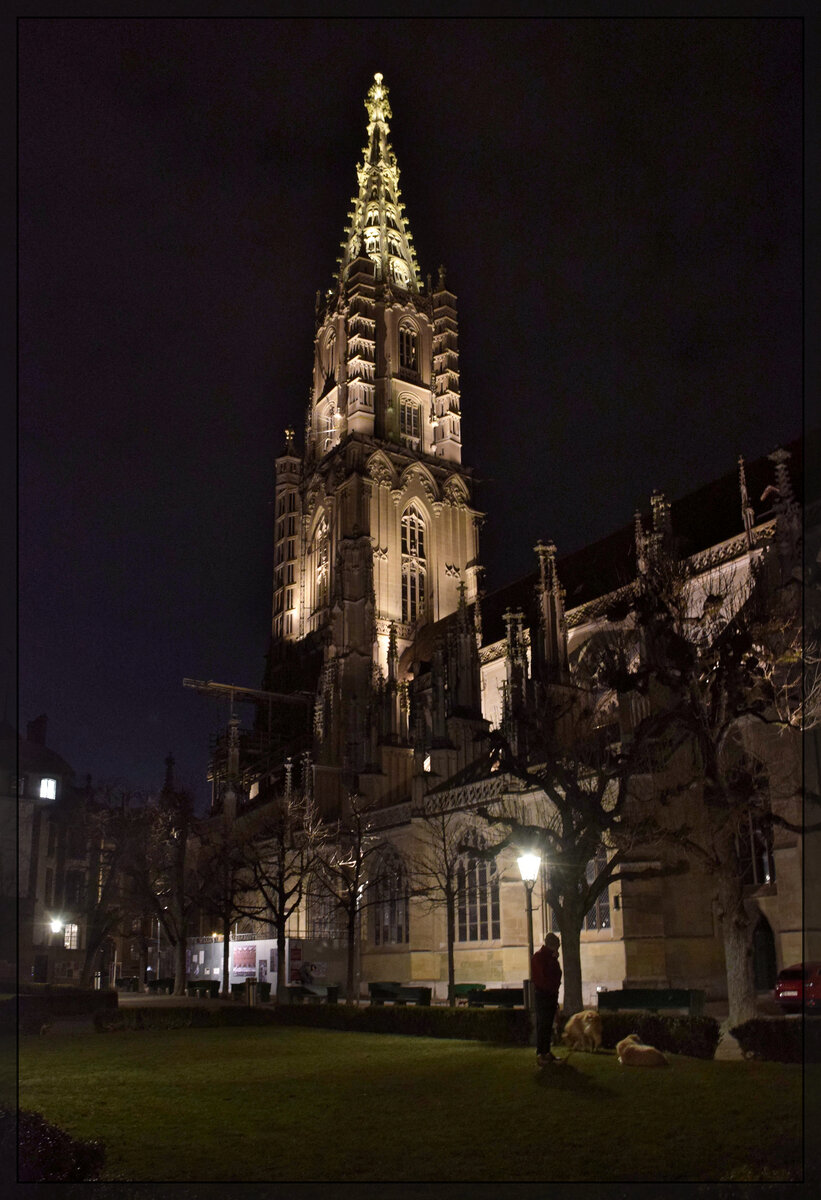 Münster von der Münsterplattform in Bern betrachtet. Januar 2026.