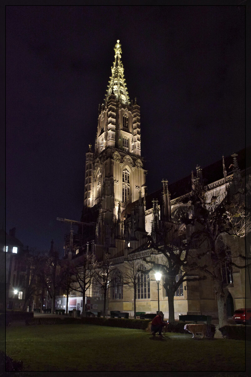 Münster von der Münsterplattform in Bern betrachtet. Januar 2026.