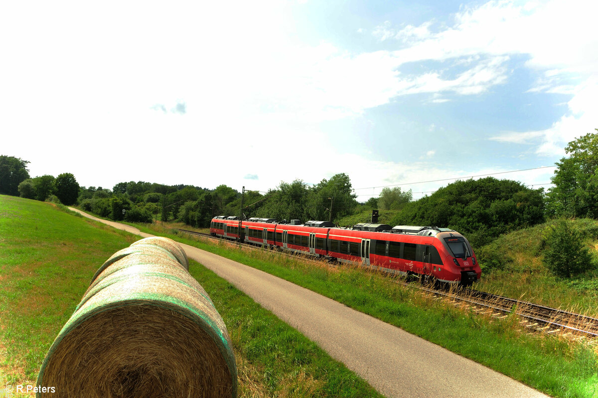 Nachschuss auf 442 741 als S3 S39354 Neumarkt/Oberpfalz nach Nürnberg HBF bei Pölling. 16.07.23