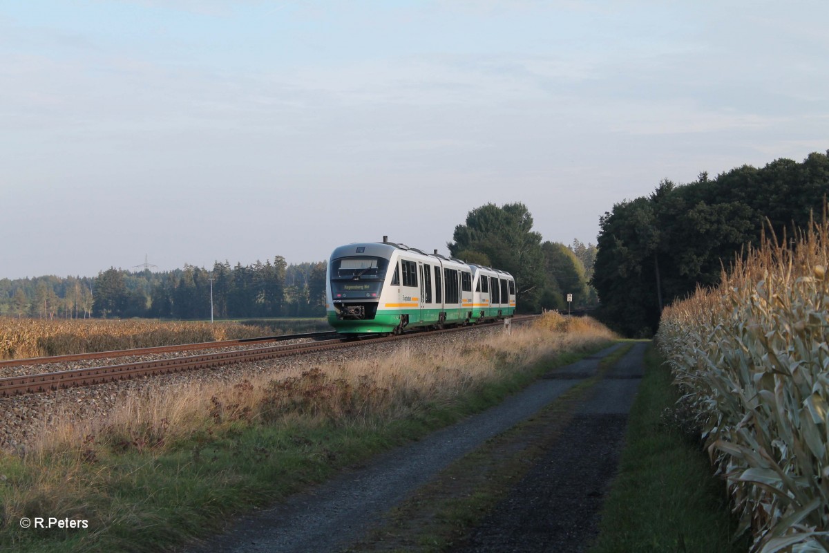 Nachschuss auf VT17 + VTxx als VBG81147 Marktredwitz - Regensburg bei Oberteich. 06.10.13