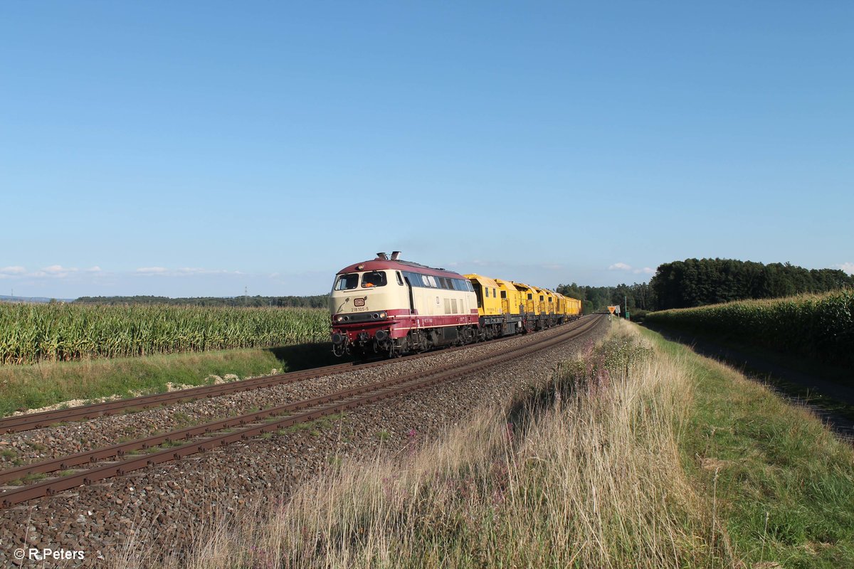 NeSa 218 105 beehrte uns mal wieder mit ein Bauzug/Speno und kam bei Oberteich in Richtung Hof durch. 28.08.17