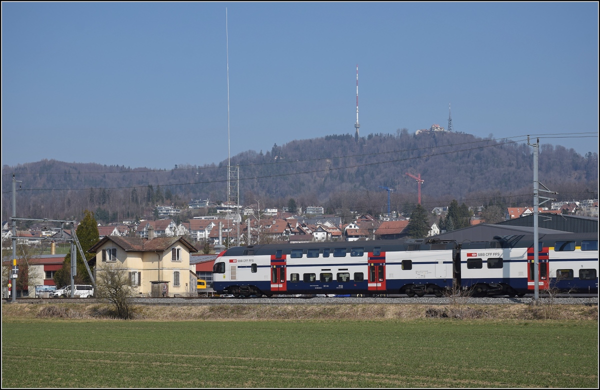 RABe 511 031 bei Wettswil. Im Hintergrund der Uetliberg. März 2022.