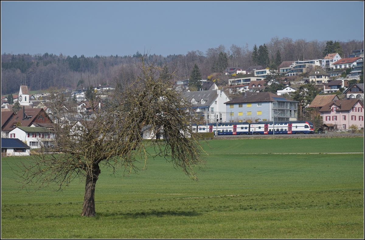 RABe 511 als S 5 nach Pfäffikon muss noch den Zürichsee umrunden. Zwillikon, März 2022.