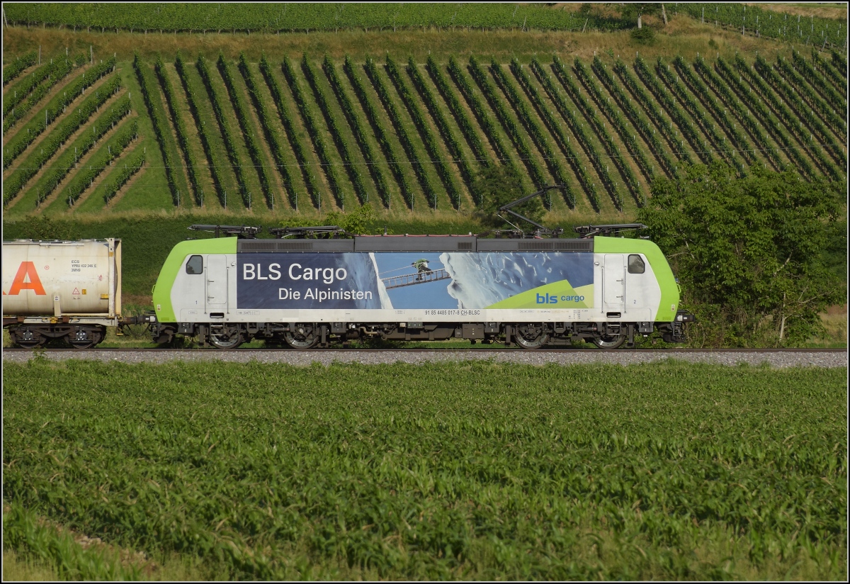 Re 485 017 der BLS bei Buggingen. Juni 2022.