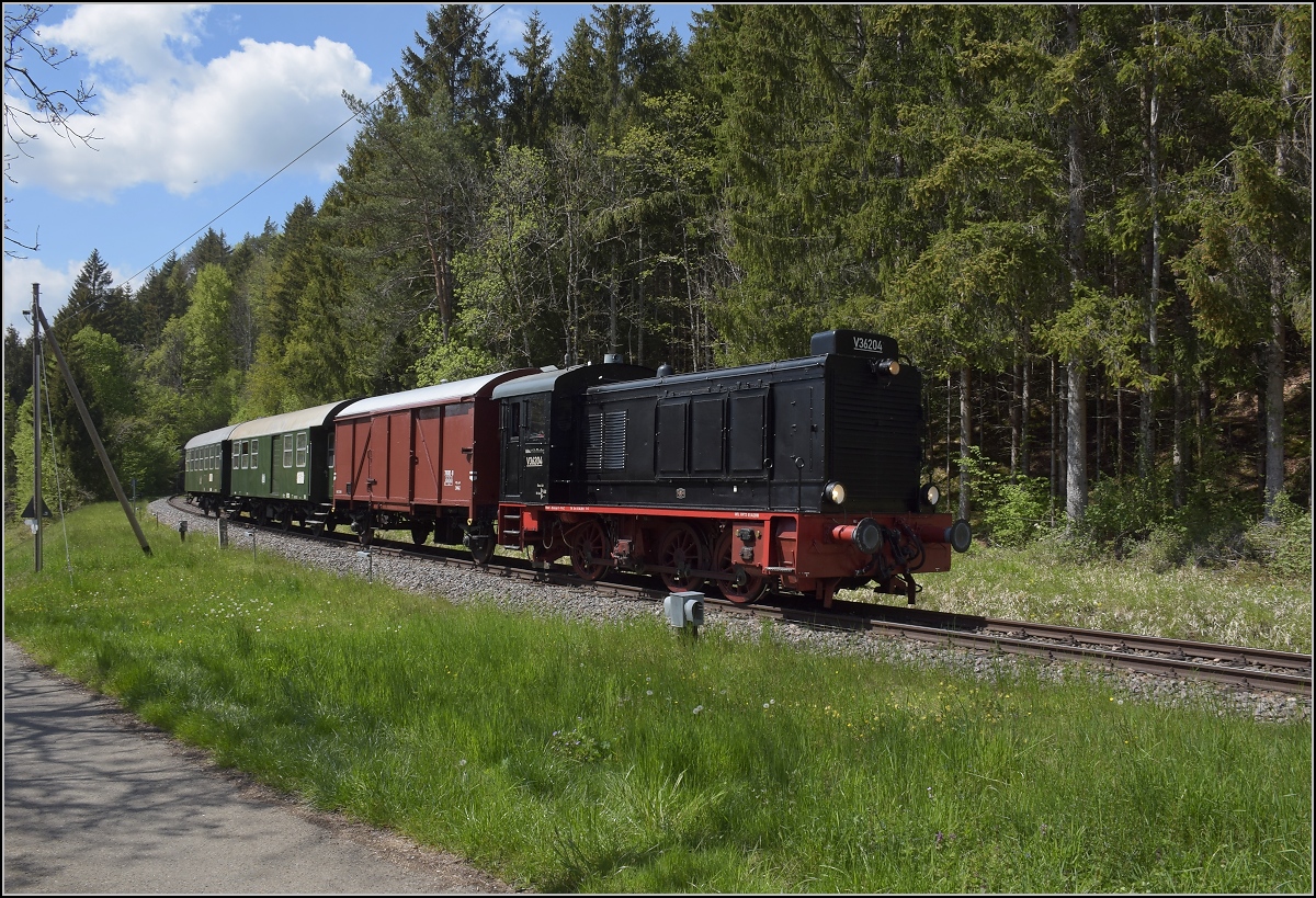Sauschwänzlebahn. 

V36 204 bei Einfahrt in den Bahnhof Grimmelshofen. Mai 2022.