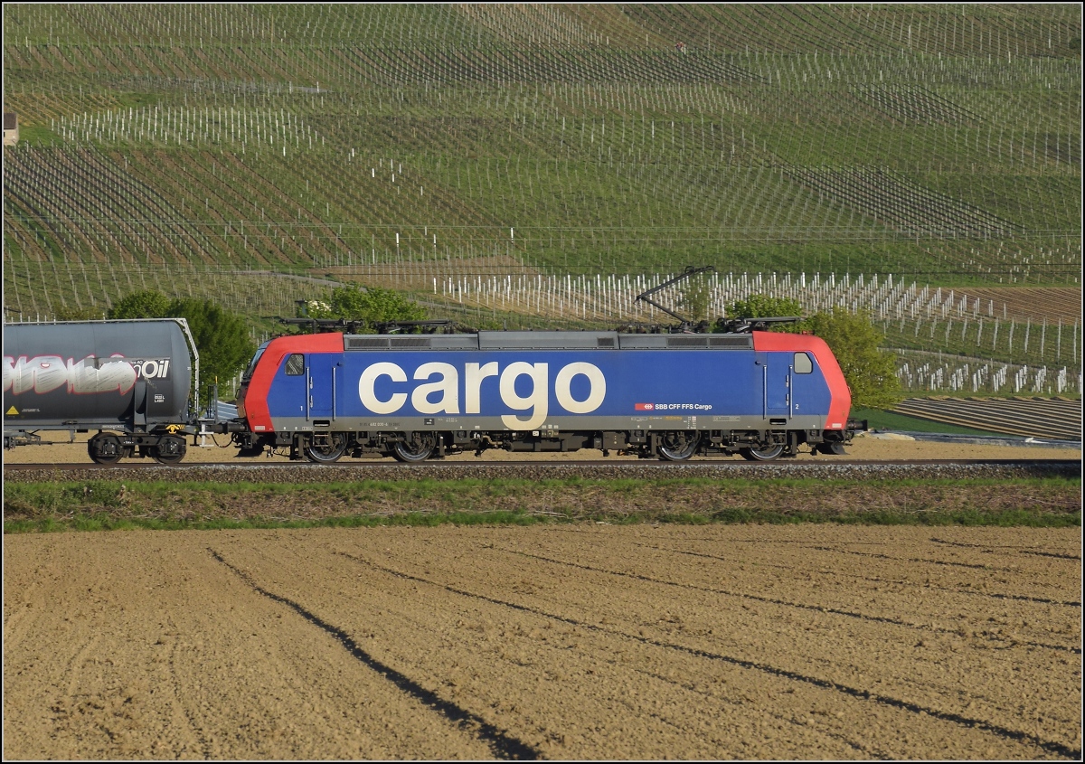 SBB Cargo Re 482 030 bei Scherzingen. April 2021.