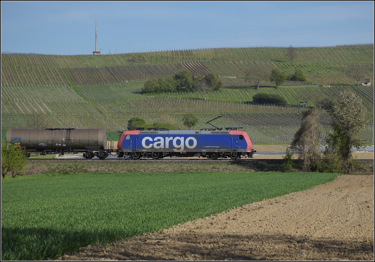 SBB Cargo Re 482 030 bei Scherzingen. April 2021.