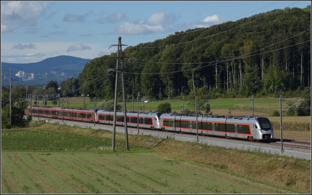 Traverso RABe 526 113, RABe 526 001 'Bachtel' und RABe 526 002 'Calanda' unterwegs Richtung Olten. An der Önz bei Bettenhausen, September 2022.