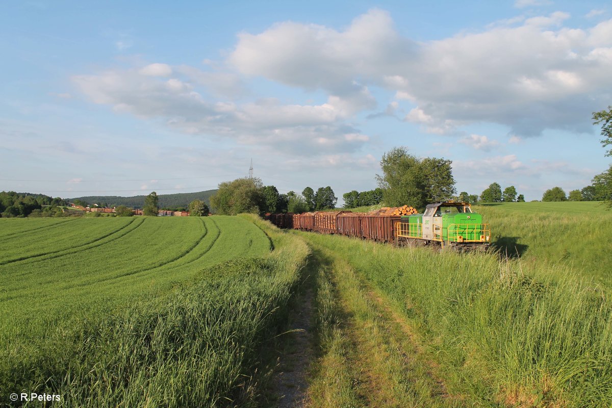 V1700.03 alias 277 004 zieht bei Brand bei Marktredwitz ein Holzzug aus Cheb nach Wiesau. 31.05.17