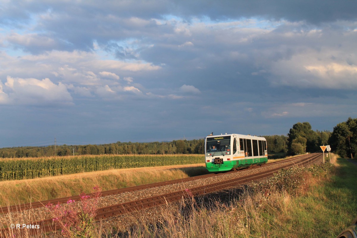 VT45 auf Überführungsfahrt nach Hof bei Oberteich. 19.08.14