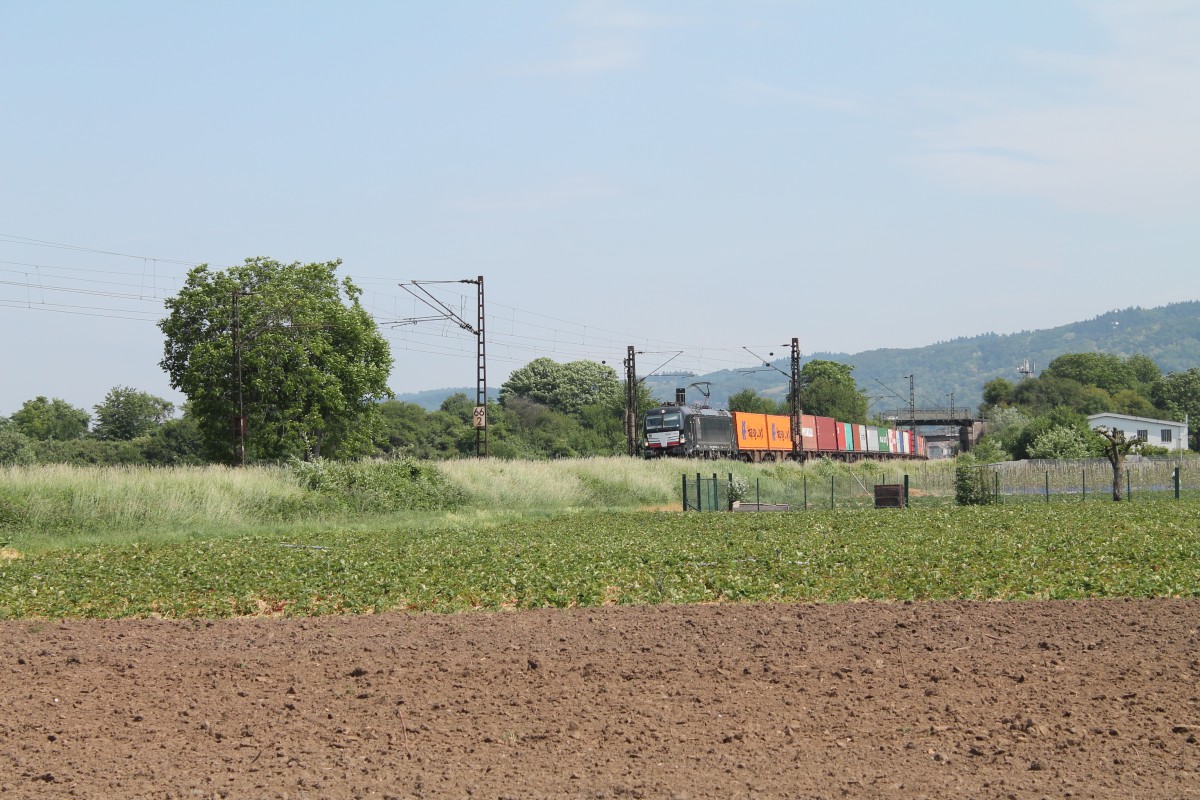 X4E 870 verlässt Weinheim( Bergstrasse) mit einem Containerzug in Richtung Mannheim. 28.05.15