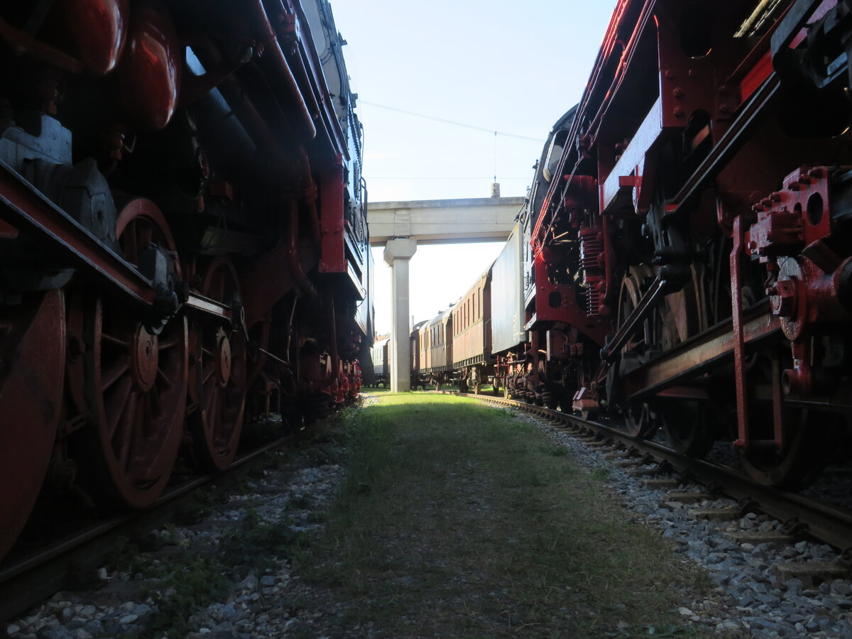 Zwischen den beiden BR 50 778 und BR 41 364 im Eisenbahnmuseum N�rdlingen. 30.Mai 2025