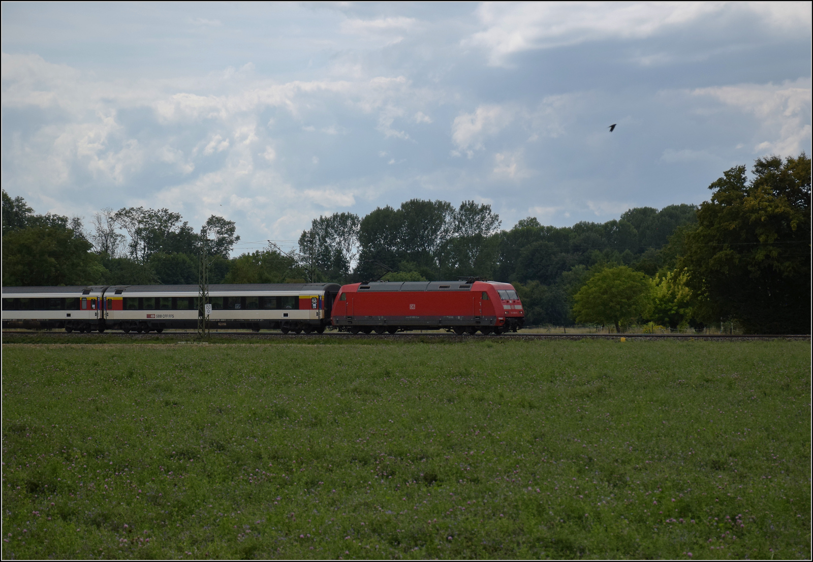 101 069 mit einem EC nordwärts bei Niederschopfheim. August 2025.